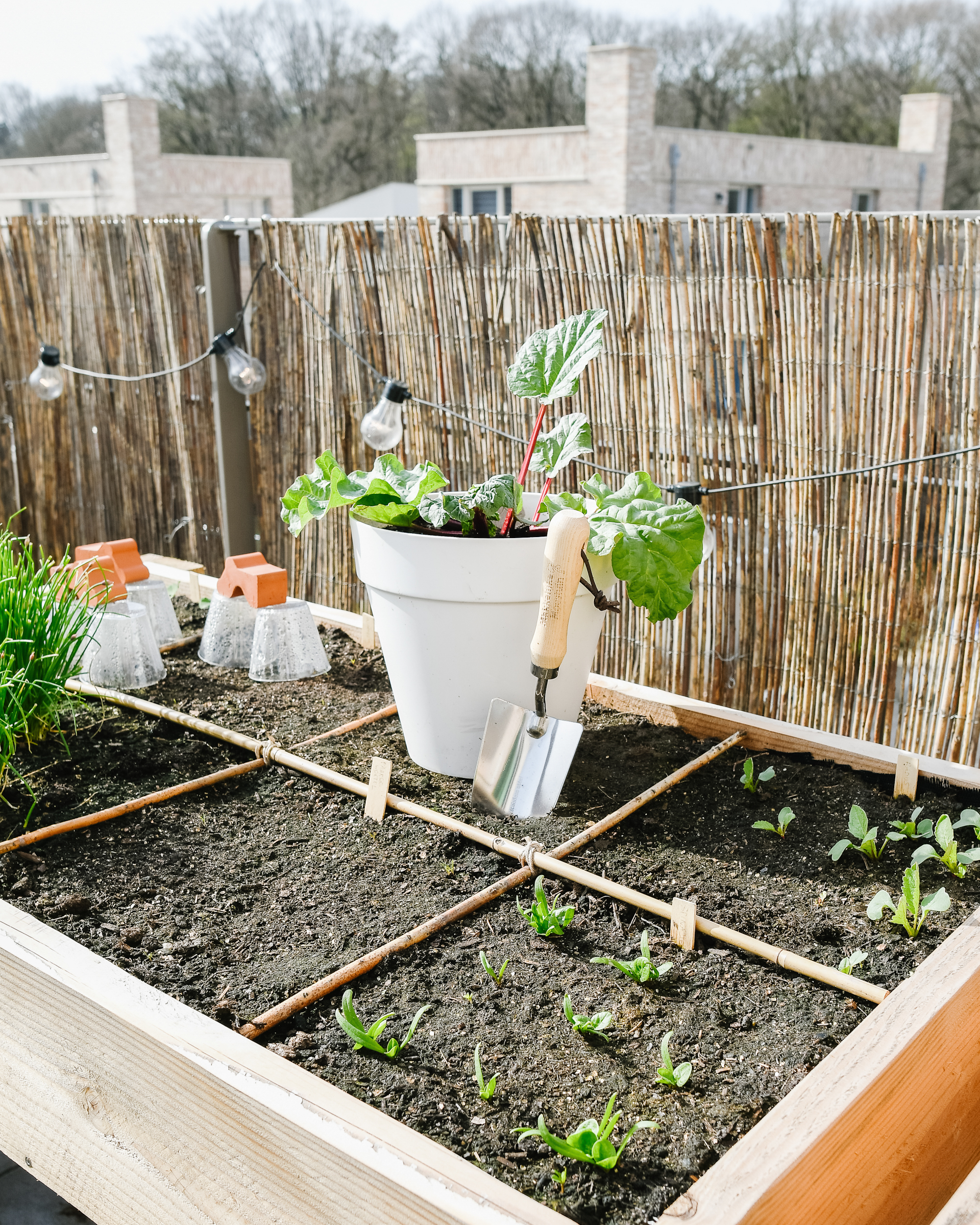 bewijs maak het plat Lelie Moestuin in kleine tuin of op balkon: zo kweek je véél groente & fruit!