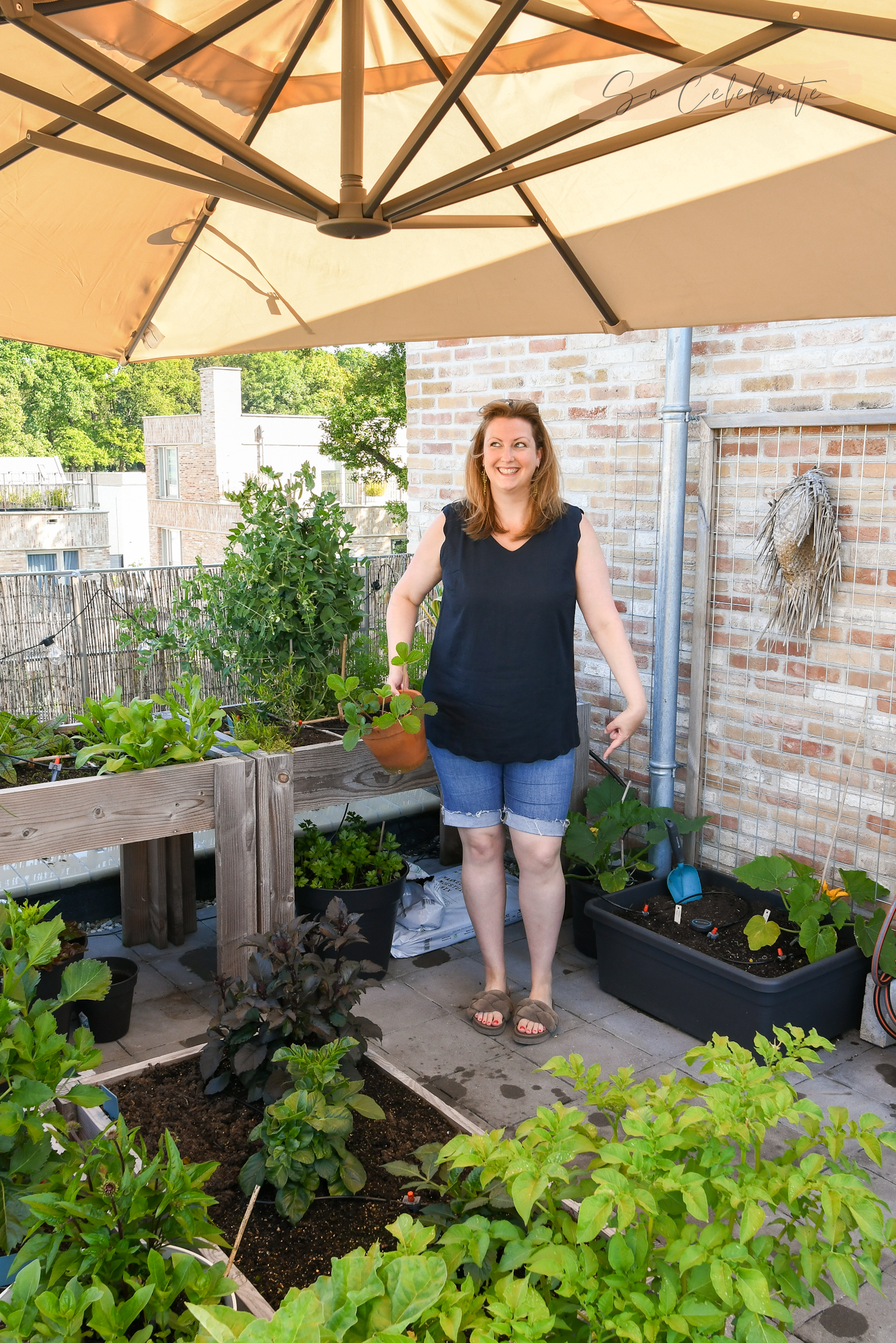 Flip Flop Gardening and Courgette-seks Moestuindagboek - So Celebrate! afbeelding